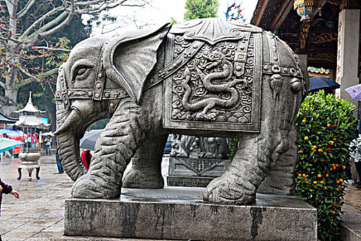 厦门南普陀寺石象