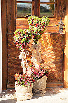 苔藓,心形,水果,石南花,正面,户外,门