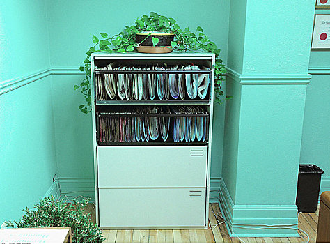 文件柜,植物,办公室