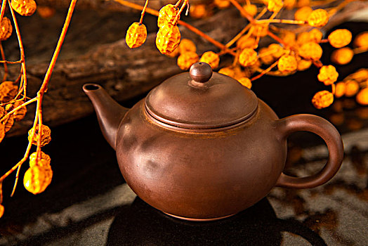 华人的节日,一家人团聚过中秋节,茶壶与干燥树仔