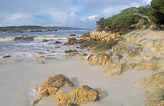 岩石海岸,湾,袋鼠,岛屿,南澳大利亚州,澳大利亚,大洋洲