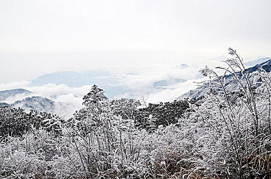 成都西岭雪山美丽雪景