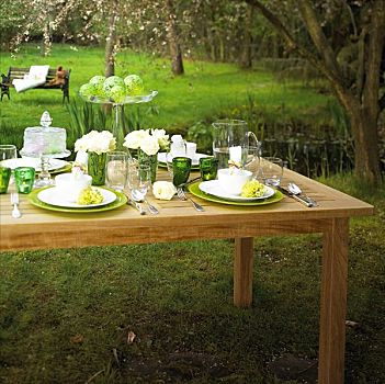 桌子,装饰,白色,玫瑰,花园