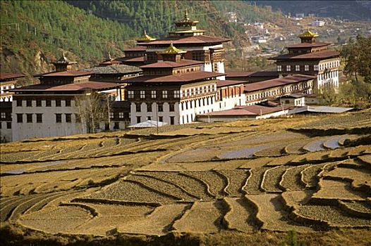 政府所在地,廷布,不丹