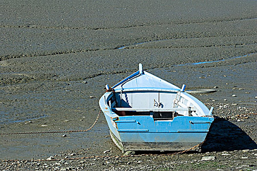 划桨船,海滨,泥地