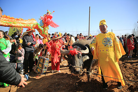 山东省日照市,田间地头闹春牛盼丰收,开启春耕序幕期盼五谷丰登