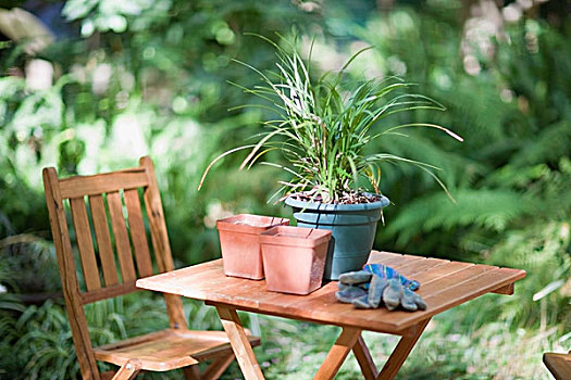 盆栽,桌上,后院