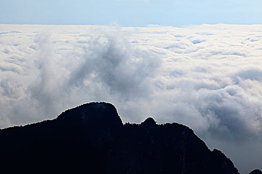 山,云海,雾