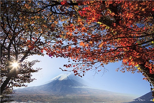 山,富士山,秋色,日本