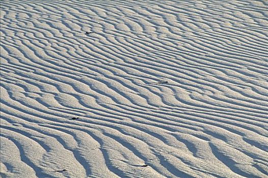 波纹状,沙子