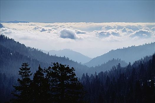 山麓,国家公园,加利福尼亚