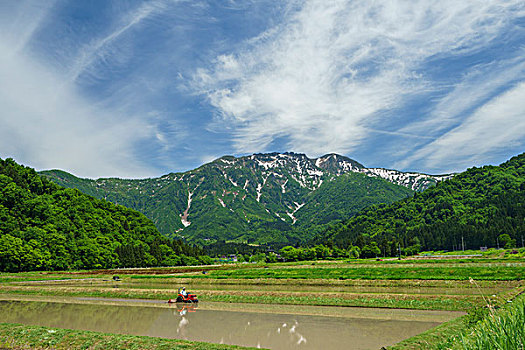 稻田,山