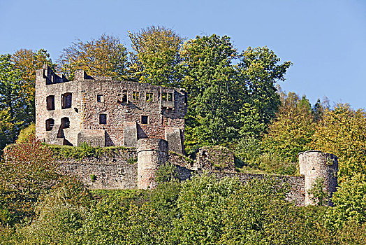 德国,黑森州,地区,第一,城堡遗迹,弗雷恩斯坦,世纪