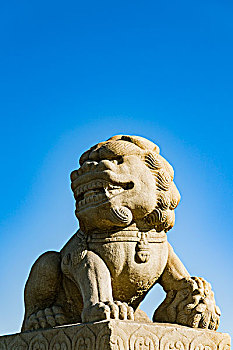 卢沟桥石狮子
