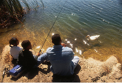 后视图,父亲,儿子,女儿,钓鱼,湖