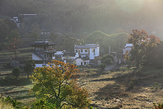 塔川秋色