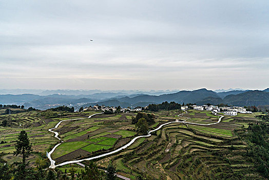 花溪高坡