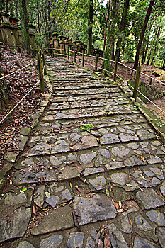 鹅卵石,小路,地面,神祠,奈良,日本