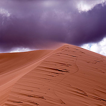 沙丘,沙漠,州立公园,犹他,美国