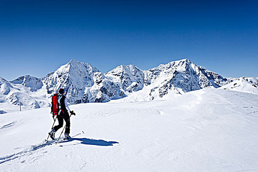 滑雪,远足者,上升,山,冬天,背影,南蒂罗尔,意大利,欧洲