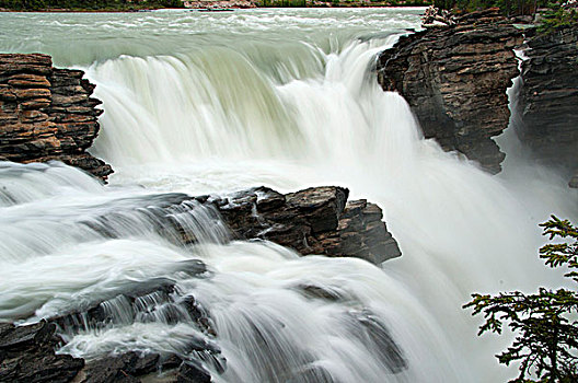 瀑布,流动,石头,阿萨巴斯卡瀑布,碧玉国家公园,艾伯塔省,加拿大