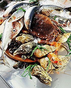 海鲜,蟹肉,食用螺,牡蛎,鱼