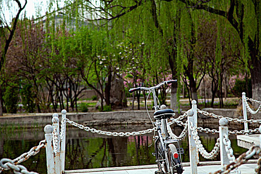 中国古典园林湖泊中的石板桥和儿童自行车