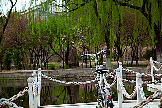 中國古典園林湖泊中的石板橋和兒童自行車