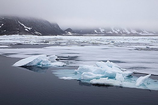 浮冰,海洋,斯匹次卑尔根岛,挪威,欧洲