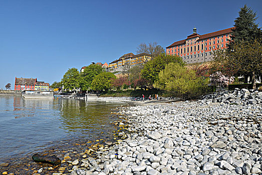 海岸线,康士坦茨湖,巴登符腾堡,德国