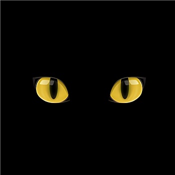 黄色,猫,眼睛