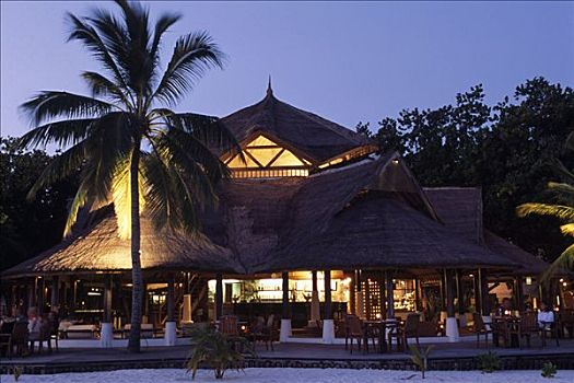 酒店,菩提树,岛屿,北方,环礁,马尔代夫,印度洋
