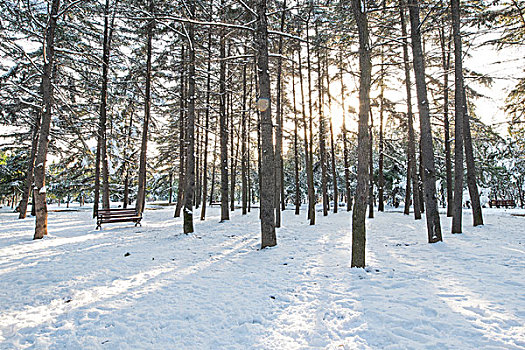 2016年冬季初雪三门峡风景区小树林阳光与长椅