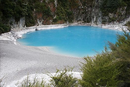 炽热,火山湖,山谷,北岛,新西兰,大洋洲