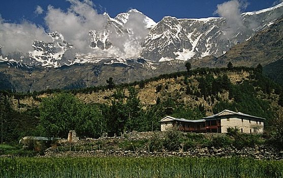 房子,山脉,背景,顶峰,安娜普纳,尼泊尔