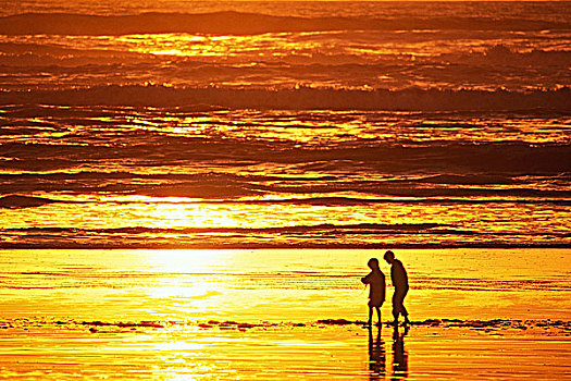 男孩,海滩,日落,太平洋沿岸,温哥华岛,不列颠哥伦比亚省,加拿大