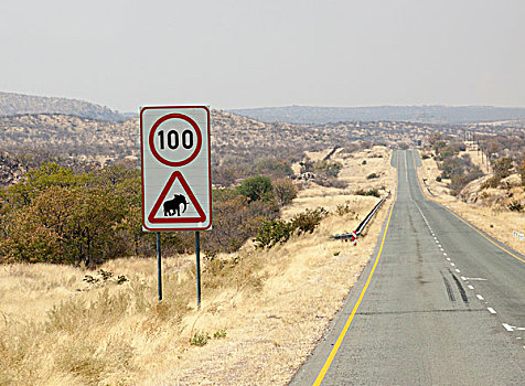 非洲,纳米比亚,埃托沙国家公园,限速,大象,小心,标识,画廊