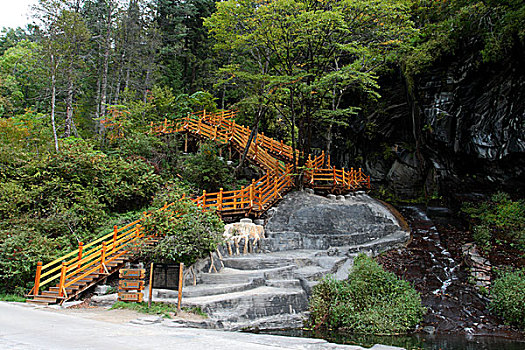 吉林长白山望天鹅景区