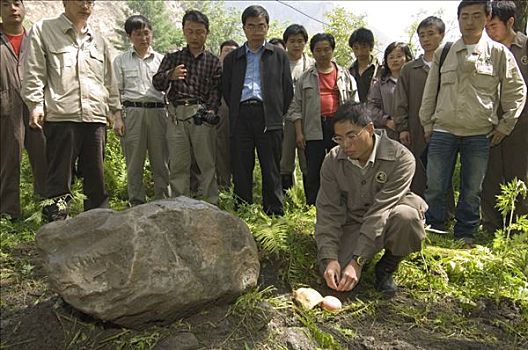 大熊猫,看护,靠近,墓碑,五月,2008年,地震,卧龙,中国