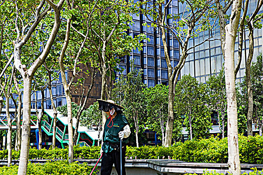 清洁,工作,东方,散步场所,公园,九龙,香港