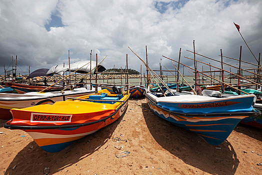 彩色,渔船,海滩,布鲁维拉,西部,省,斯里兰卡,亚洲