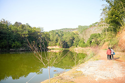 2024春节南方新农村绿水青山鱼塘密林美景