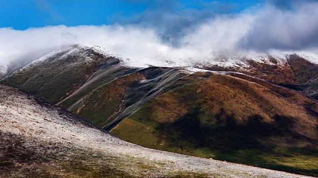 中国青海久治县境内的草原雪山风光