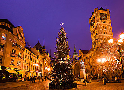 夜景,圣诞节,树,城镇,右边,老城,世界遗产,波兰,欧洲