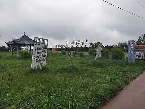 田野乡村,乡村风光,田园风光,乡村风景,田园风景,自然风光