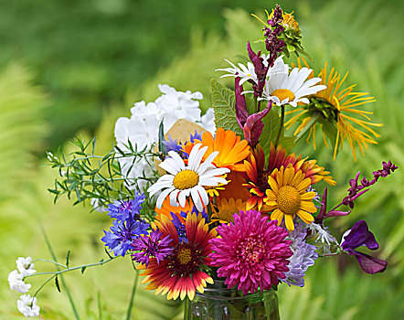 鲜明,彩色,花束,花园,野外,自然,花,聚焦
