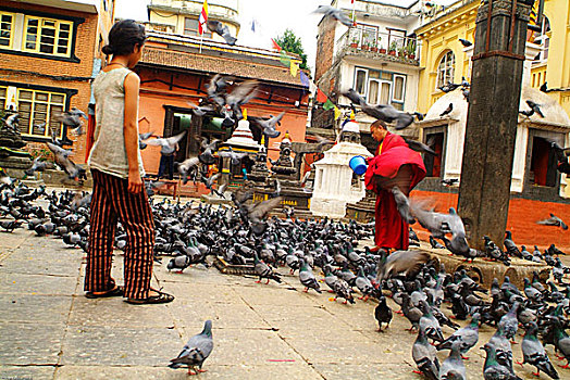 美女,僧侣,红色,长袍,鸽子,靠近,佛塔,加德满都,尼泊尔,五月,2007年