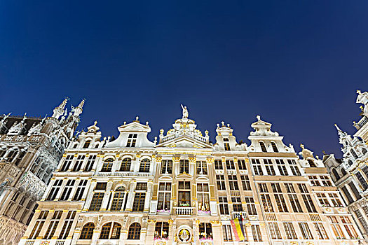 仰视,历史建筑,大广场,夜晚,布鲁塞尔,比利时