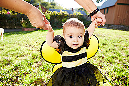 女婴,穿,蜜蜂,服饰,起步,花园