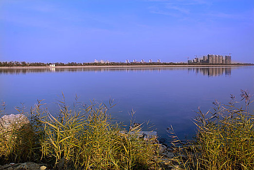 天津东丽湖